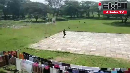 قطيع من القردة يهاجم طلاب يلعبون كرة السلة