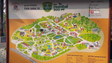 - Byculla Hayvanat Bahçesi 11 ay sonra kapılarını yeniden açtı