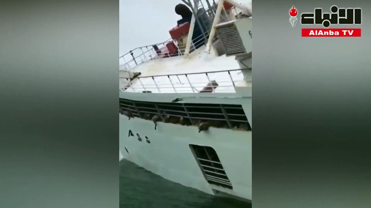 انقلاب سفينة شحن على متنها 14600 رأس غنم قبالة...