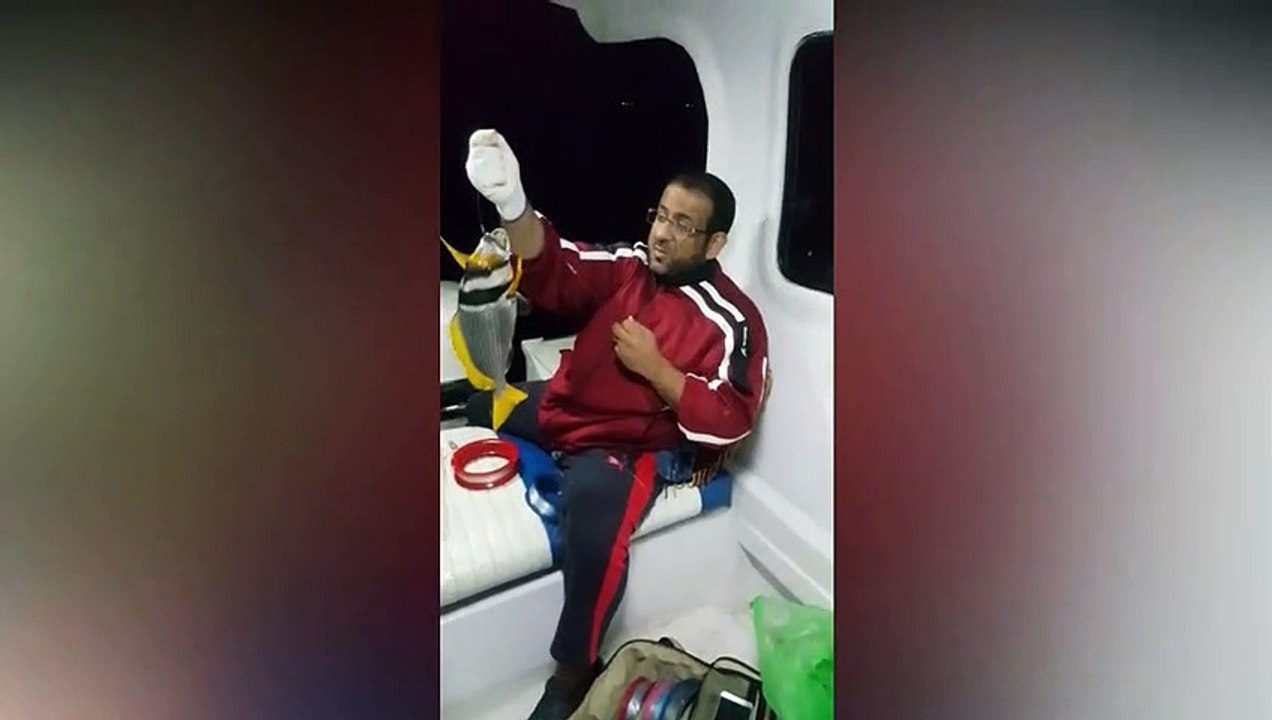 بحري