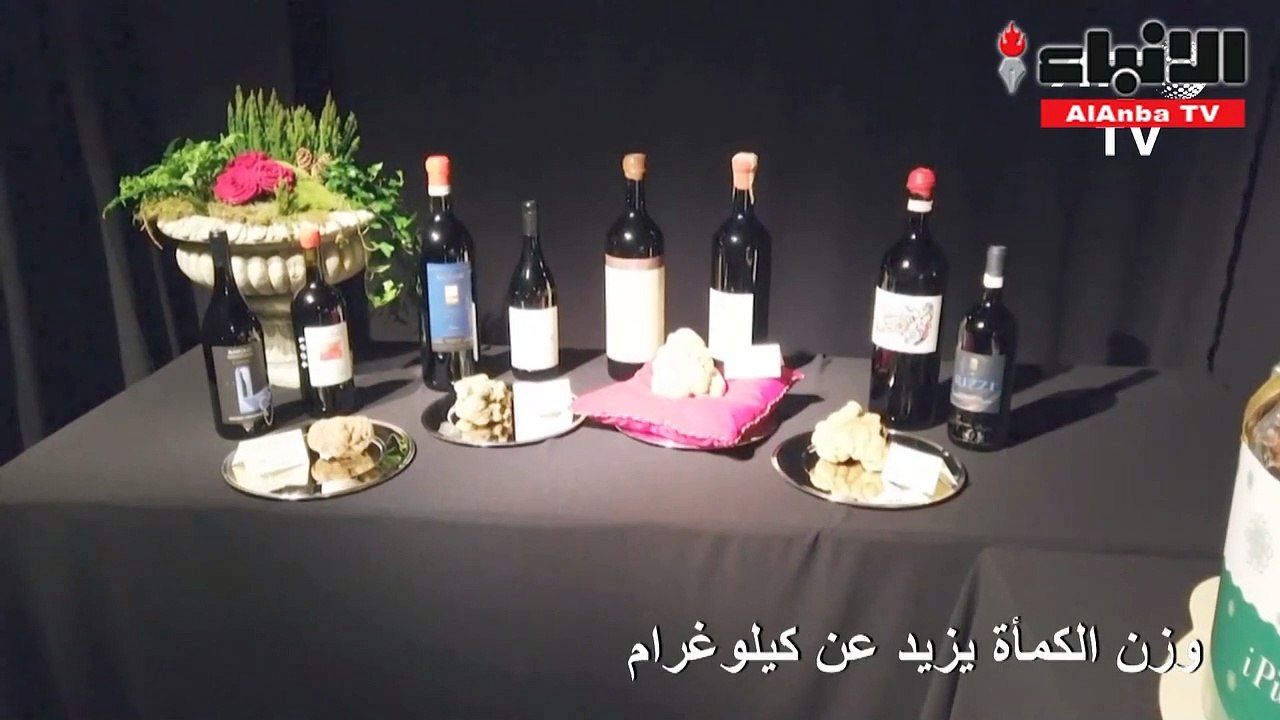 بيع كمأة بيضاء بسعر 120 ألف يورو في مزاد ألبا ا...