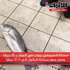 72.5 دينارا سعر سمكتي السبيطي والبالول في سوق شرق