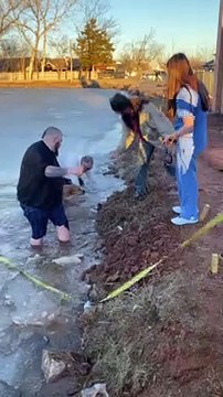 Good Samaritans Rescue Dog From Icy Lake