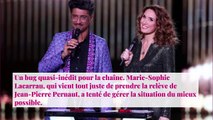 Bug du 13h de TF1 : Marie-Sophie Lacarrau raconte les coulisses de l'incident