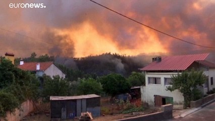 Luta pelo ambiente soma vitória na justiça