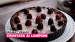 Dessert vegani: Crostata ai lamponi