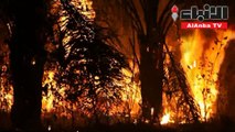 الحرائق تواصل التهام الأمازون في ظل القمة الأممية حول المناخ