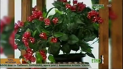 Maria Butaciu - Cand era bunica fata