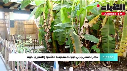 شاهد سوري بين أحضان الحيوانات المفترسة