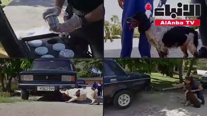 كلاب تدرب في كوبا للتعرف على رائحة الأوراق النقدية لمكافحة غسل الأموال