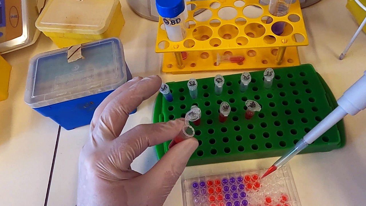 TUM iLab - Das virtuelle Labor - Bewerbung Digitalpreis 2021