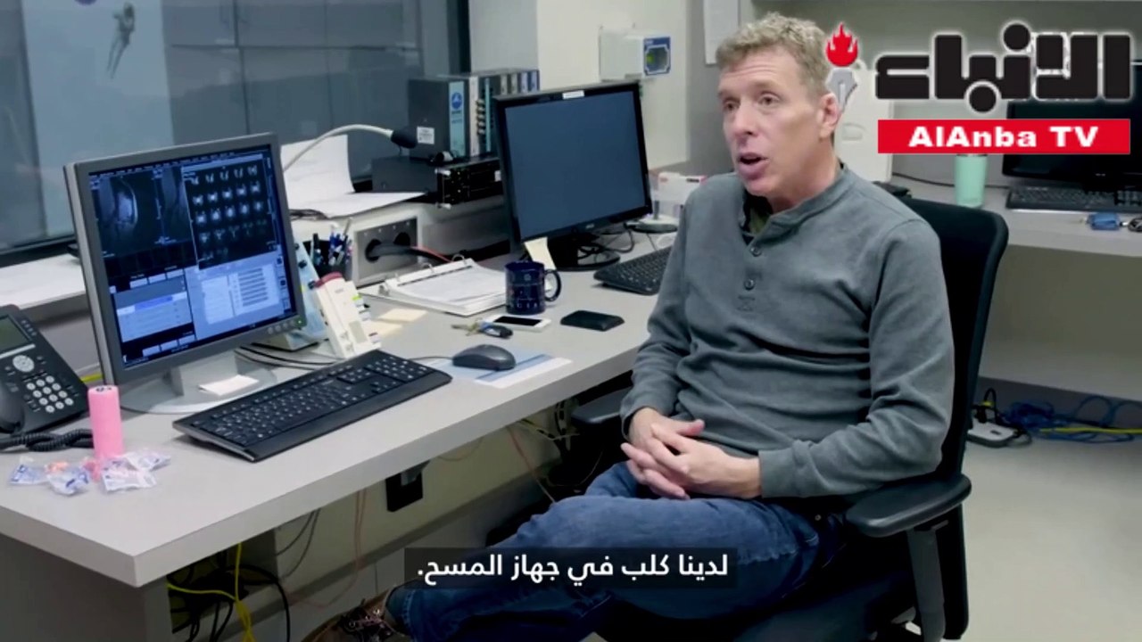 الكلاب