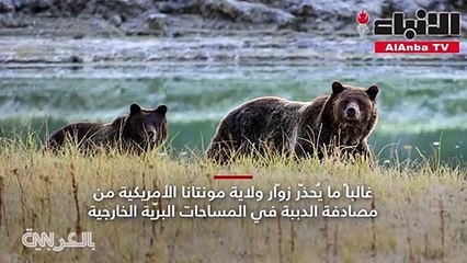 مفاجأة في أحد الفنادق دب يسترخي في حمام نسائي