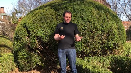 Stramplerbande für b.digital - Bayerischer Digitalpreis 2021