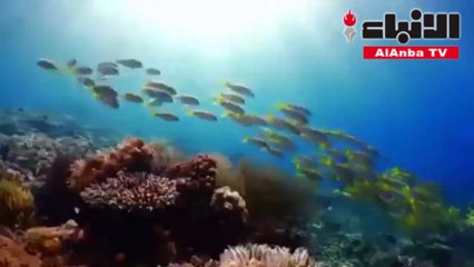 السعودية شاهد ما لم تره عين!