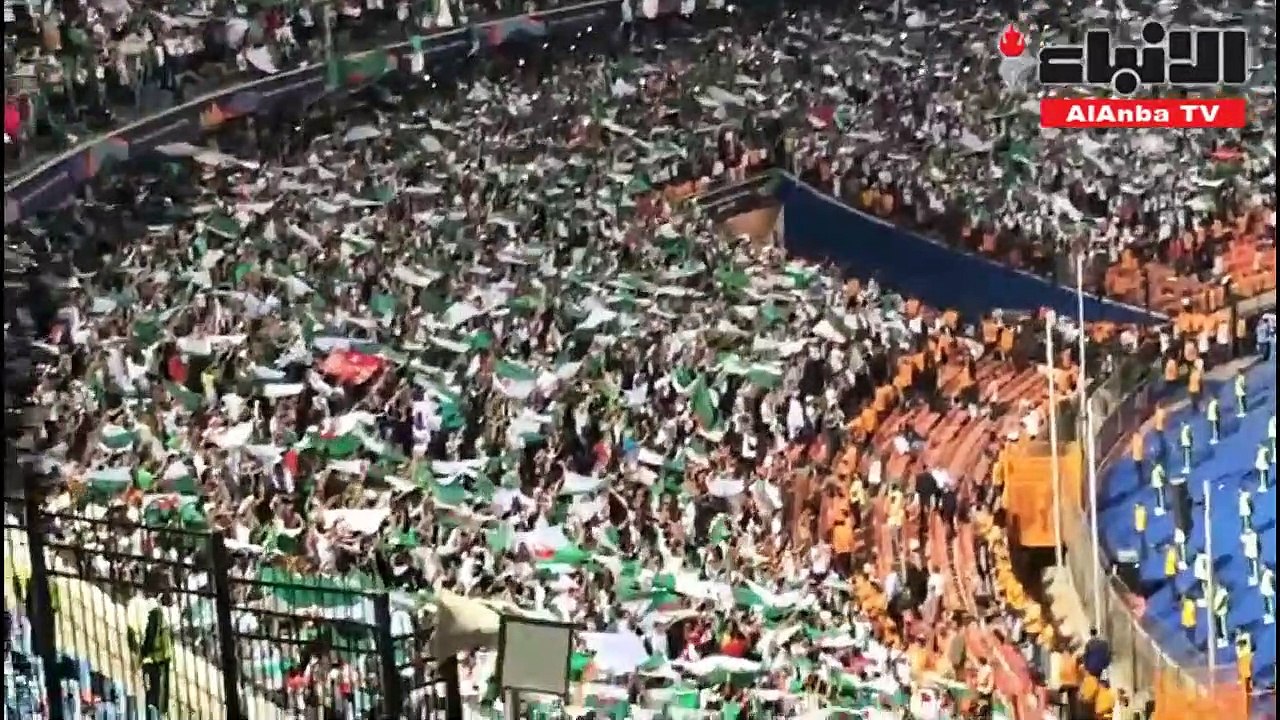 فرحة جماهير الجزائر في مختلف دول العالم بالتتويج بلقب كأس أمم أفريقيا