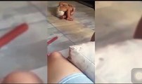 Filmaron a una mujer pegándole a su bebé y subieron el video a las redes