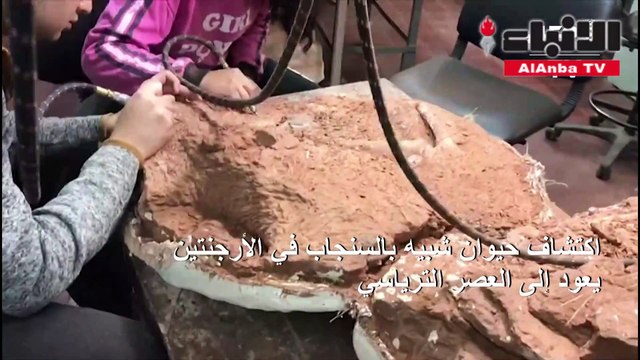 اكتشاف «سنجاب» عاش في الأرجنتين من 230 مليون سنة