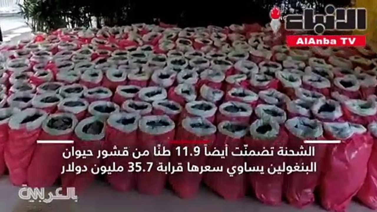 سنغافورة تصادر قطعا عاجية بقيمة 12.9 مليون دولار
