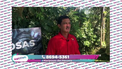 Soluciones del Trece - Martes 02 de marzo del 2021