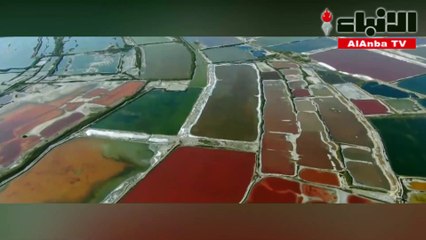 بحر الصين الميتينبض حياة بألوان مشرقة