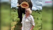 Fille fotoğraf çektirmek isteyen kadına bakın fil ne yapıyor!