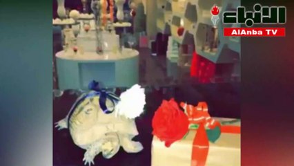 سعودي يقدم لزوجته هدية سلحفاة مغلفة ويكشف السبب