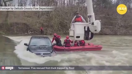 Five rescued from truck trapped by flood