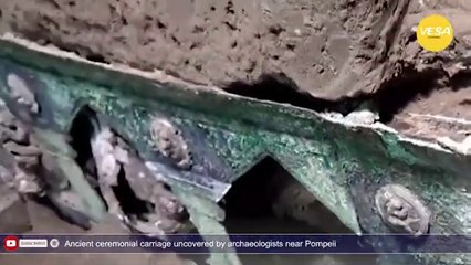 Ancient ceremonial carriage uncovered by archaeologists near Pompeii