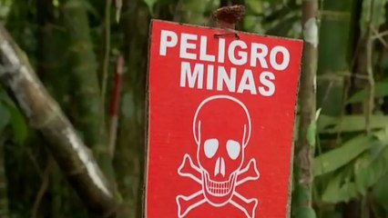 ¡No más! Menor indígena perdió una de sus piernas por mina antipersonal en Murindó