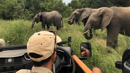 Go Gorilla Trekking, Hang With Giraffes, and Sleep Under the Stars on This Epic 7-Country