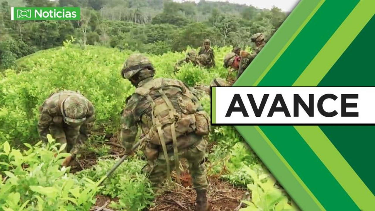 Estados Unidos renueva certificación de Colombia en lucha antidrogas