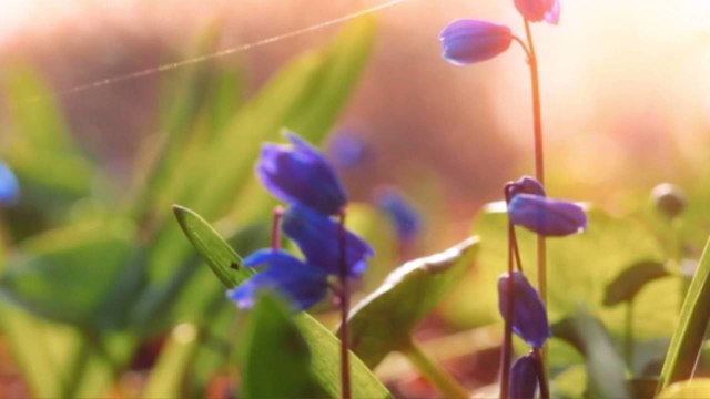 Starbucks Adds Oatly Oat Milk Nationwide, Launches New Iced Shaken Espressos