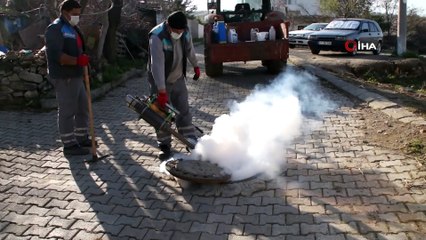 Geyikli’de yaza hazırlık çalışmaları