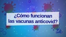¿Cómo funcionan las vacunas anticovid?