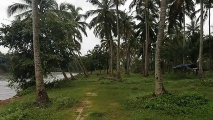 Old Man Fishing In a River