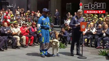 فريدا كلبة الإنقاذ تتقاعد في المكسيك