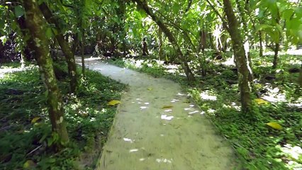 supras chauds  Pékin Express !!! Gasp et Alexis