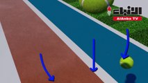 كرة المضرب كيف تؤثر أسطح الملاعب على طريقة اللعب
