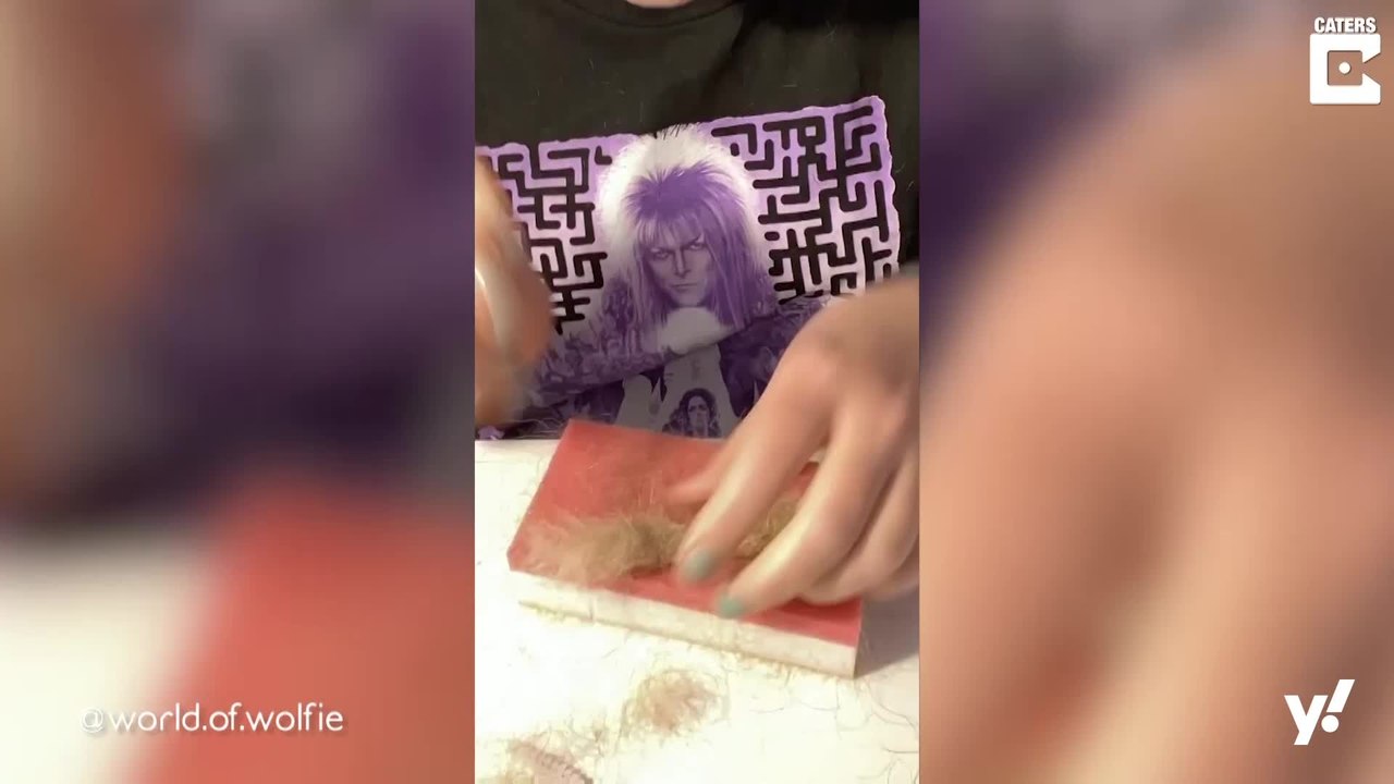 Hund bekommt einen 'Mini-Me' gefilzt