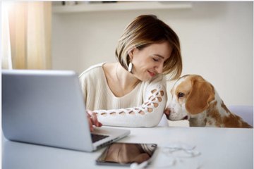 Comment sortir votre chien de l'ennui ? Voici quelques astuces