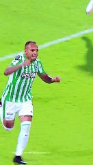 VERTICAL RCN NAL VS ALI