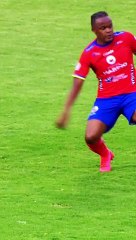 VERTICAL RCN PAS VS AME