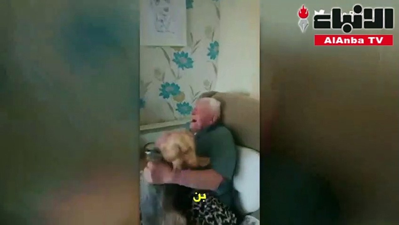 كلب