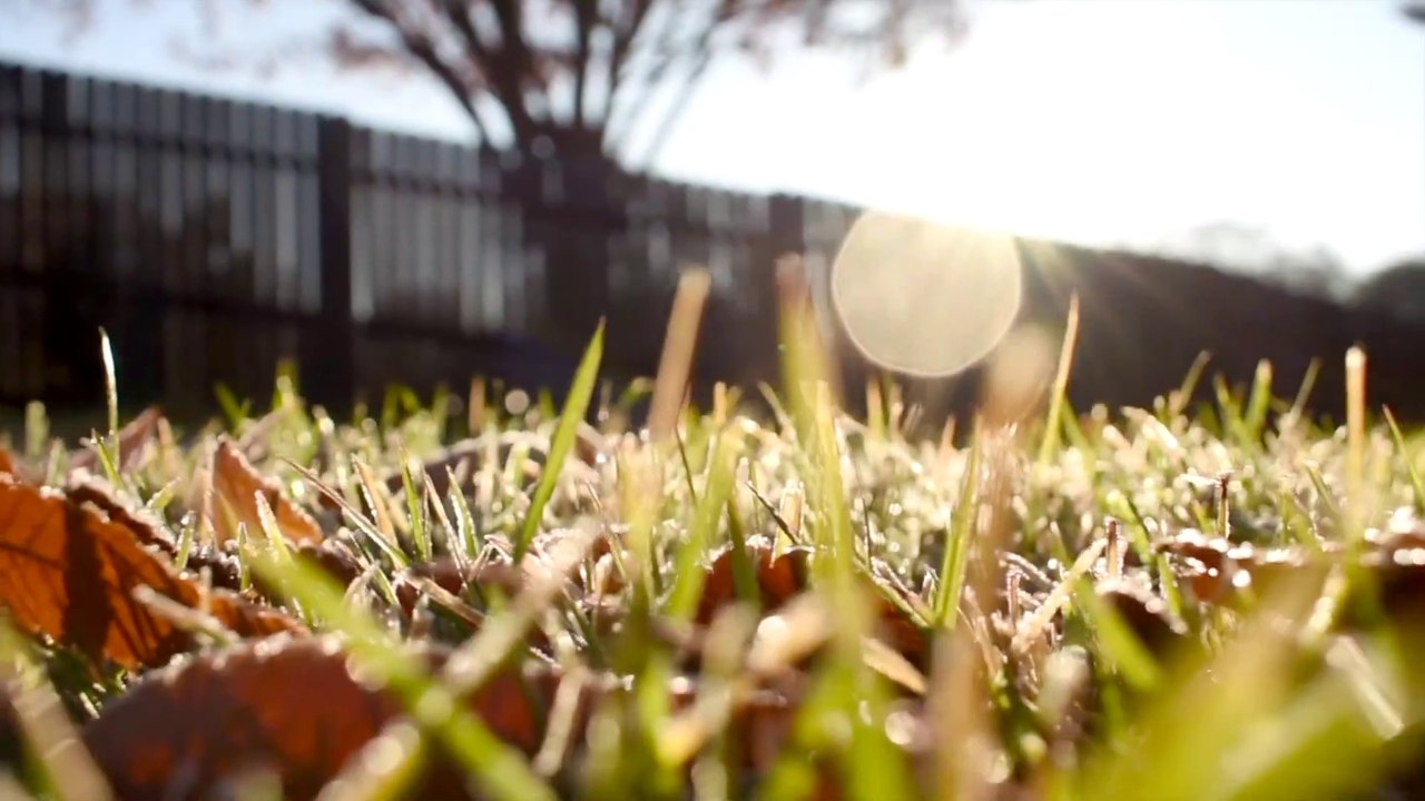 To Our Frontline Workers... (A Tribute)  | Passionatic Placer County