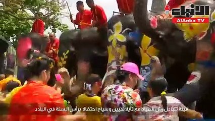 فيلة تتبادل رش المياه مع تايلانديين وسياح احتفالا برأس السنة في البلاد