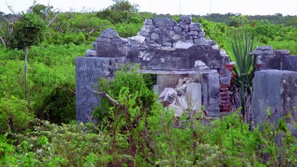 COOPER'IN HAZİNESİ İzle   2  Sezon 6  Bölüm