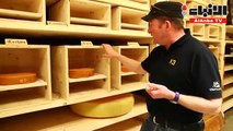دراسة سويسرية موسيقى الهيب هوب تكسب الجبن نكهة أفضل من موتسارت