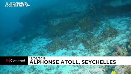 شاهد بعثة نكتون تقوم بمهمة سبر أغوار المحيط الهندي في أول صور مباشرة متلفزة…