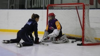 Es posible jugar a hockey sobre hielo solo con el oído